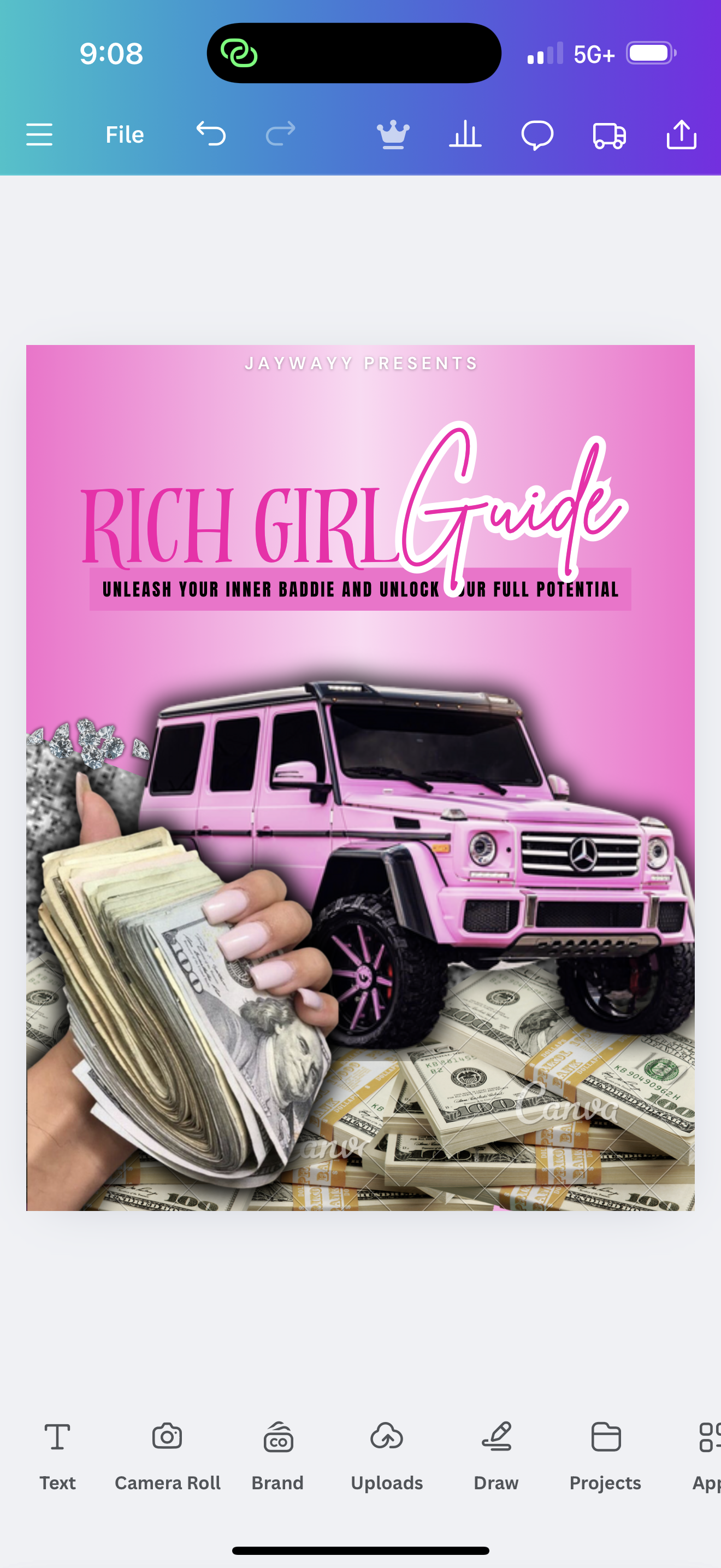 Rich Girl Guide